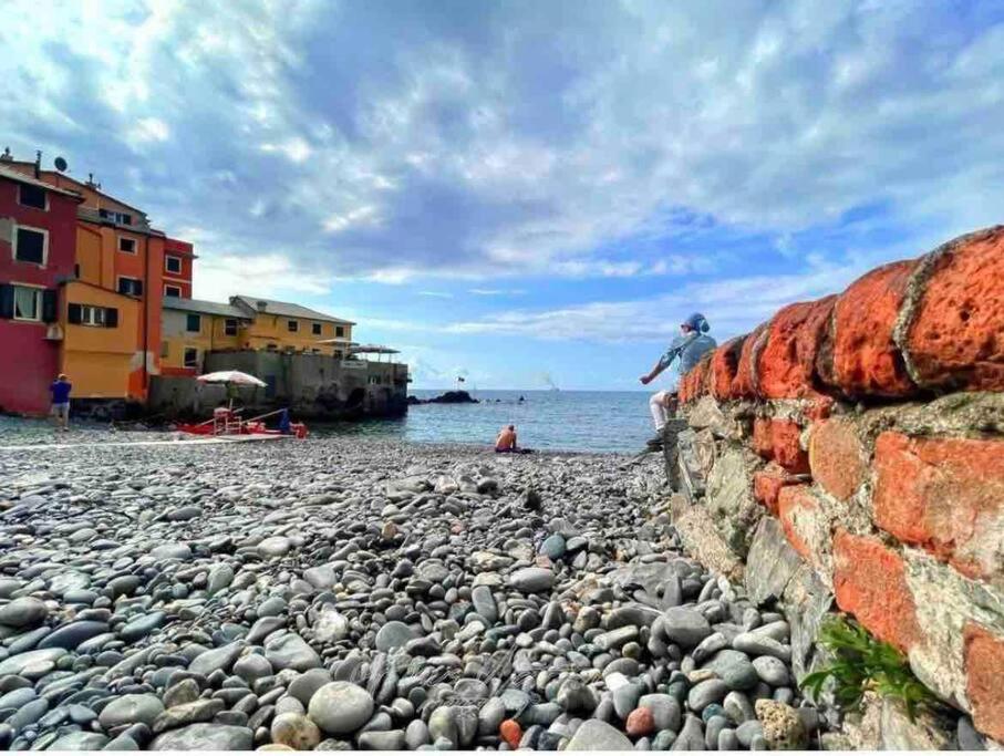 Casa Azzurra, Nel Cuore Di Genua